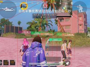 火焰鸟直装科技 - 高兼容稳定辅助合集